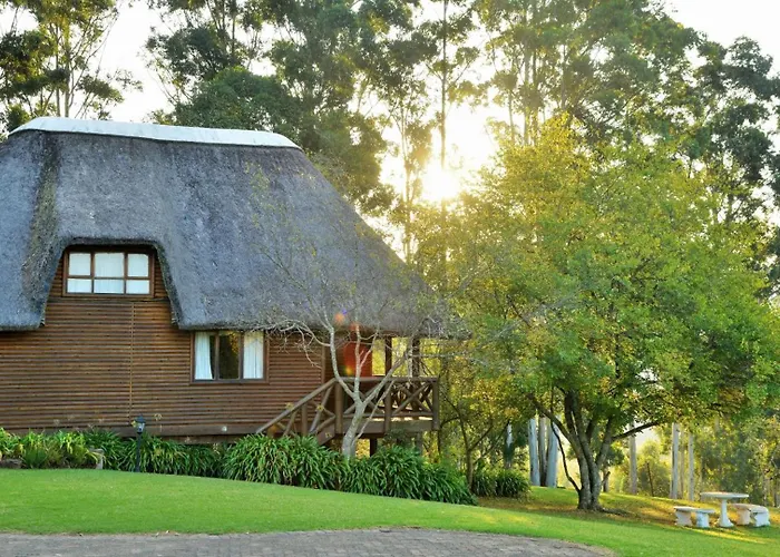 Anew Resort Ingeli Forest Kokstad